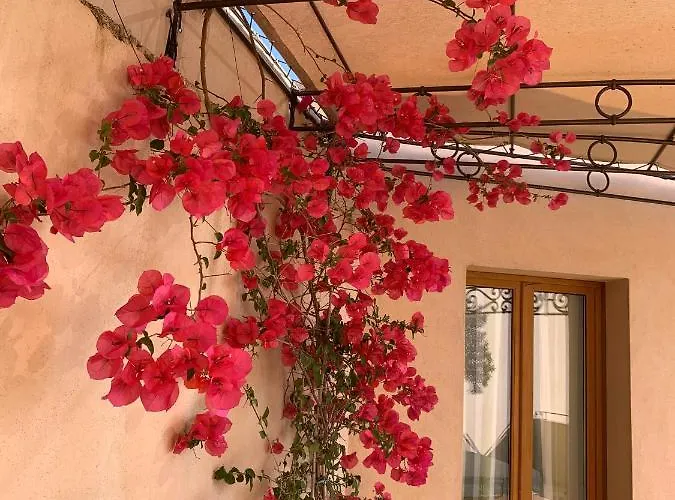 Villa Vista Di Sognu Monticello